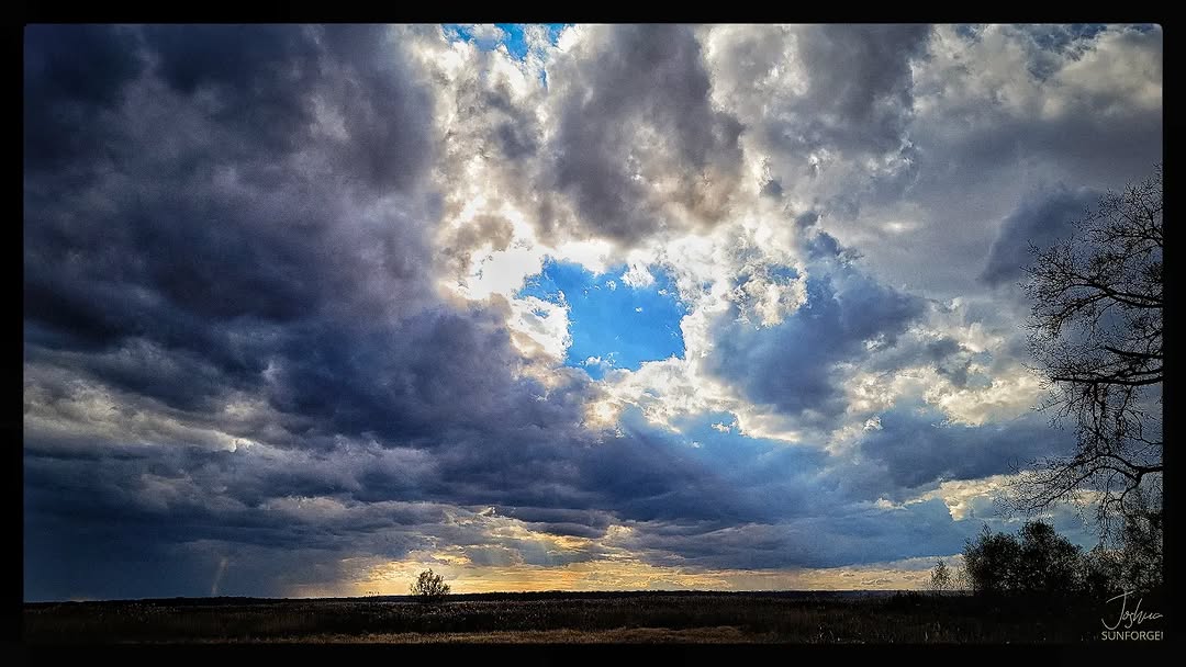 Gone With The Wind
